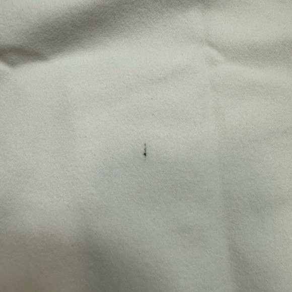 18x22” Bottega Veneta Dust Bag - Picture 4 of 4